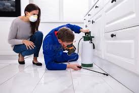 Best Real Estate Pest Inspections  in Holgate, OH