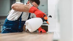 Best Residential Pest Control  in Holgate, OH